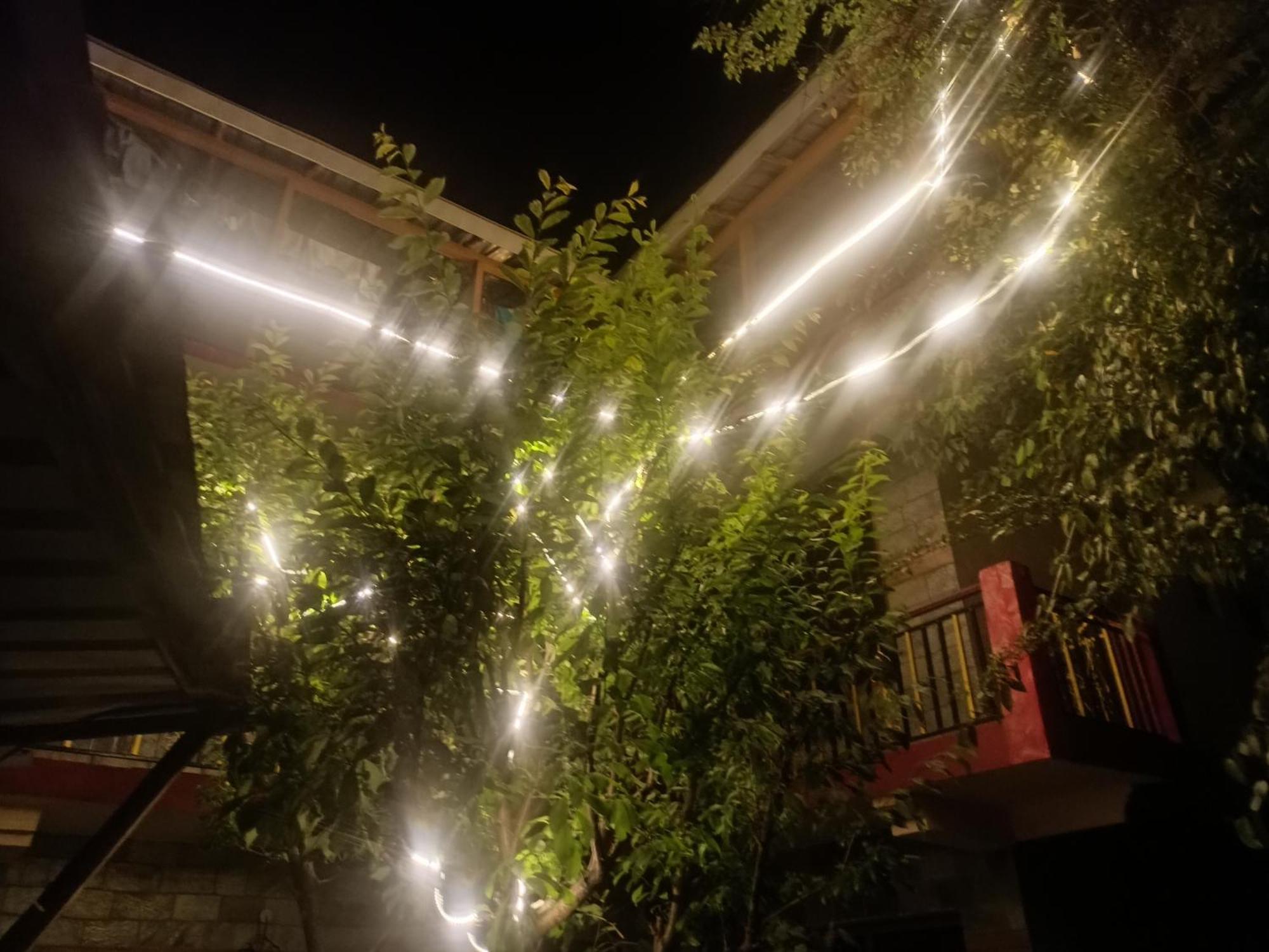 Tirthan Hilltop Home Stay Banjar Ngoại thất bức ảnh
